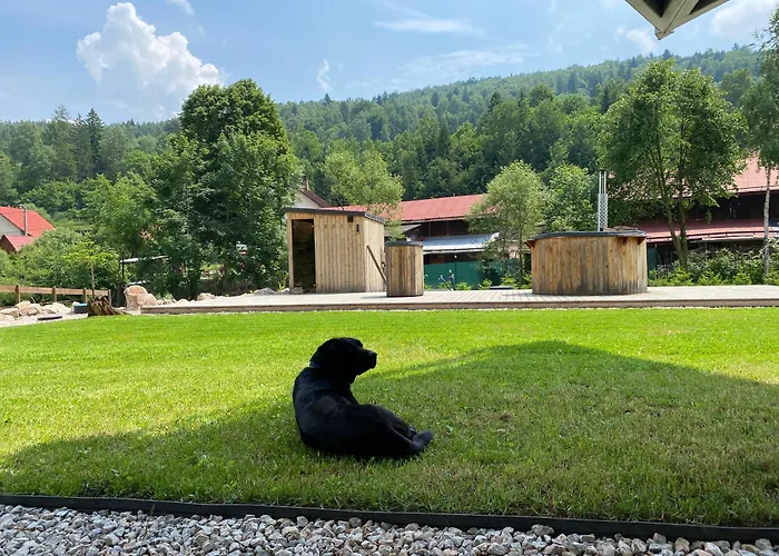 Vaness * Velka Lesna